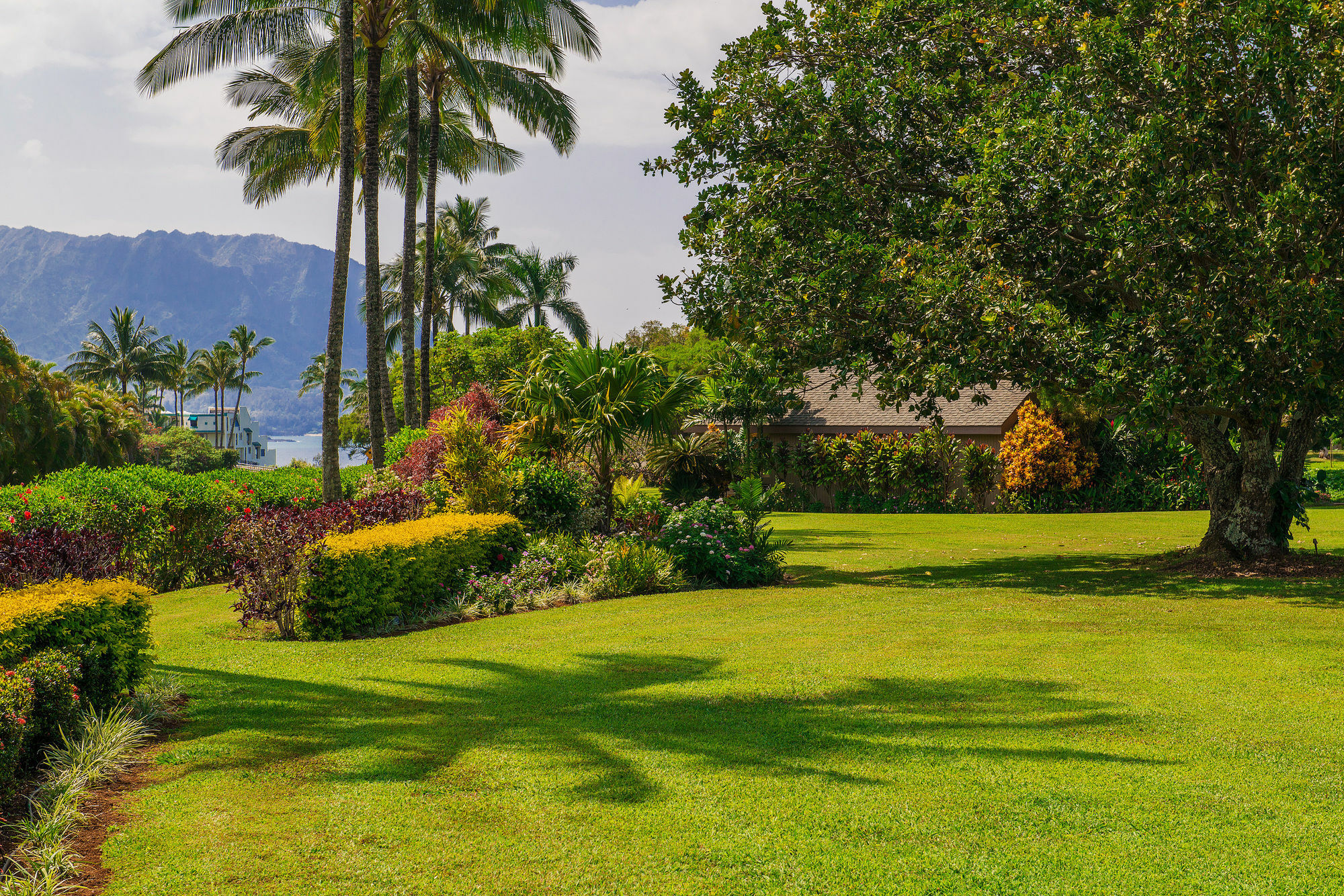 Princeville Oceanfront Villas Kauai Esterno foto